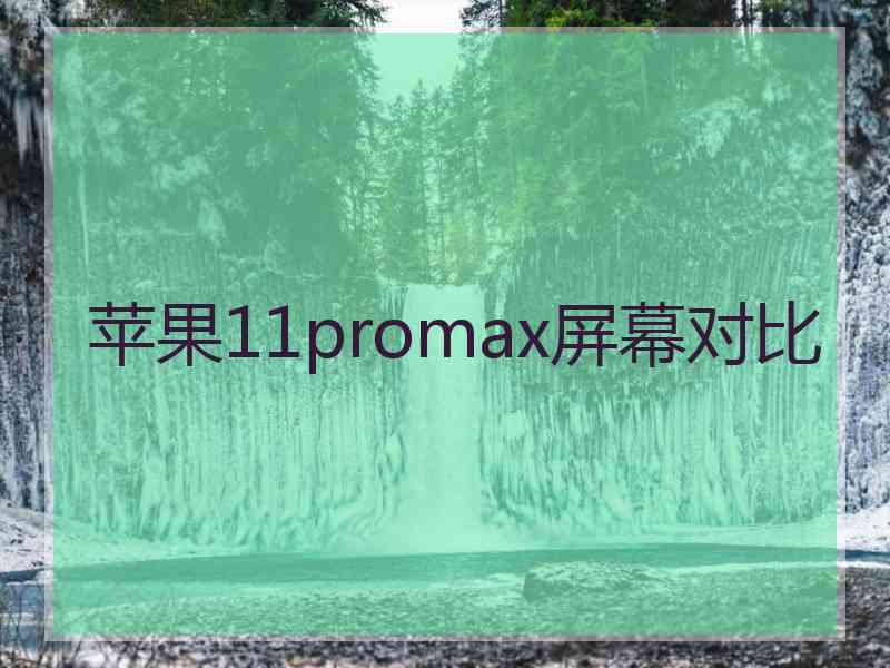 苹果11promax屏幕对比