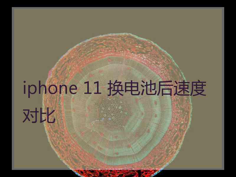 iphone 11 换电池后速度对比