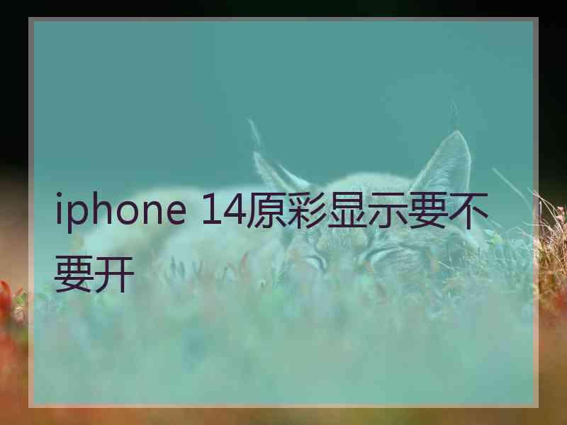 iphone 14原彩显示要不要开