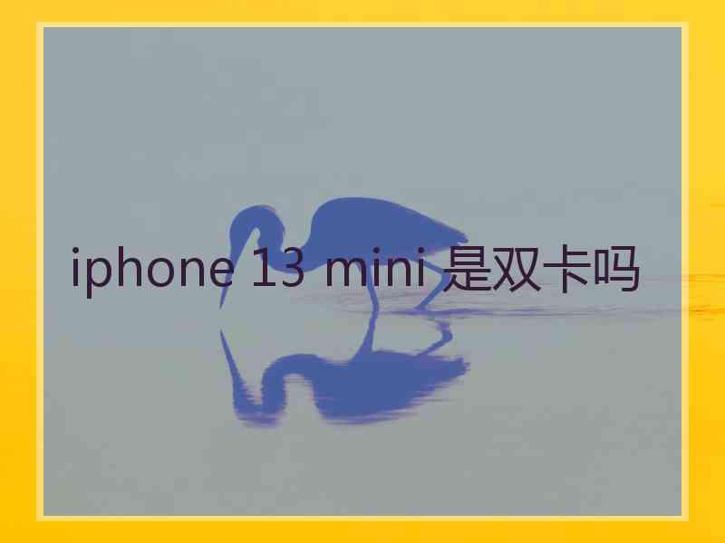 iphone 13 mini 是双卡吗