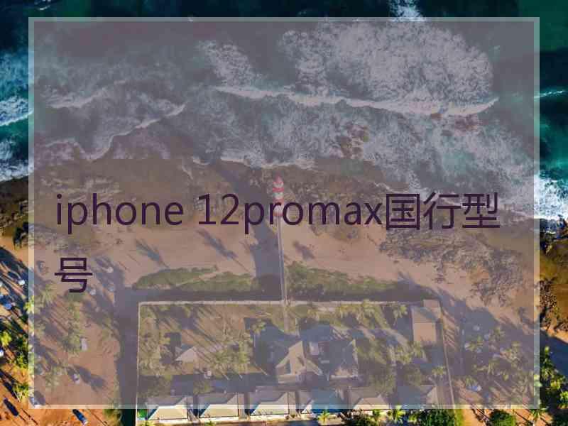 iphone 12promax国行型号