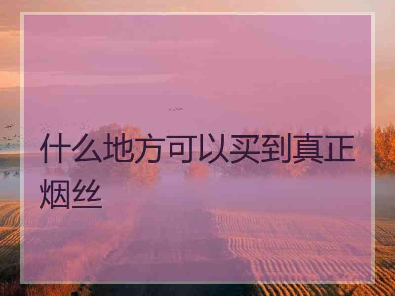 什么地方可以买到真正烟丝