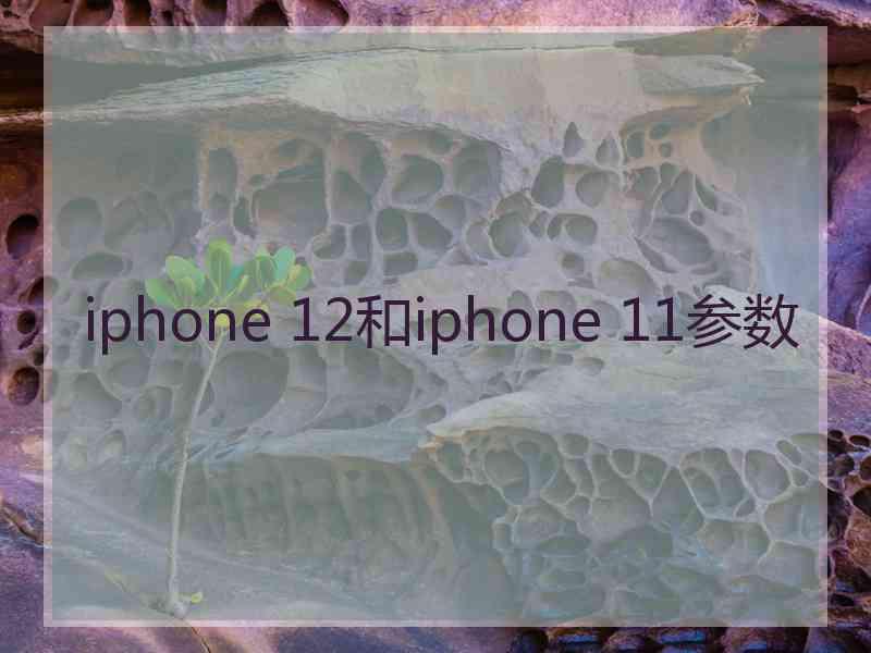 iphone 12和iphone 11参数