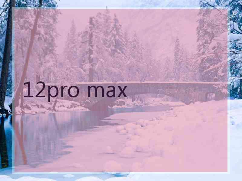 12pro max