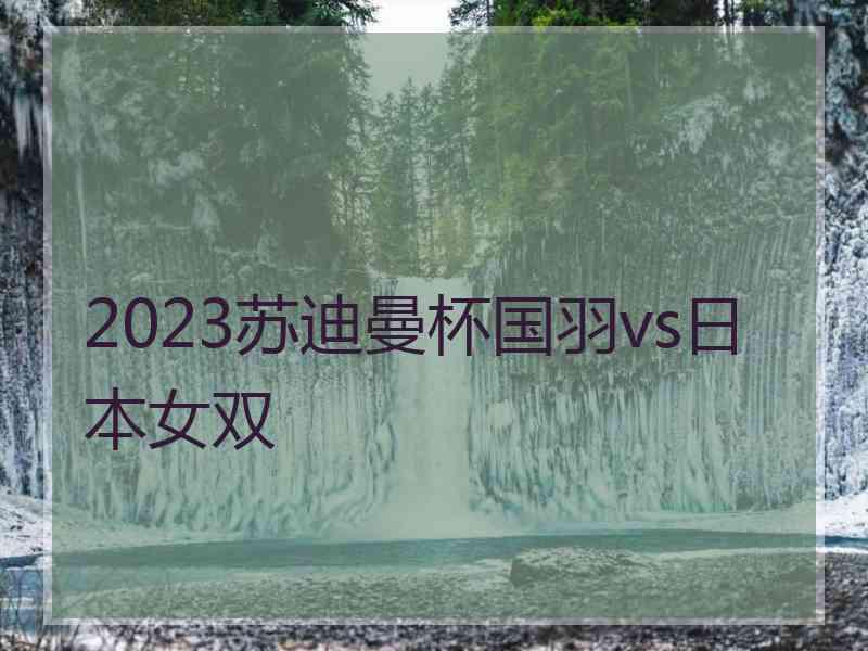 2023苏迪曼杯国羽vs日本女双