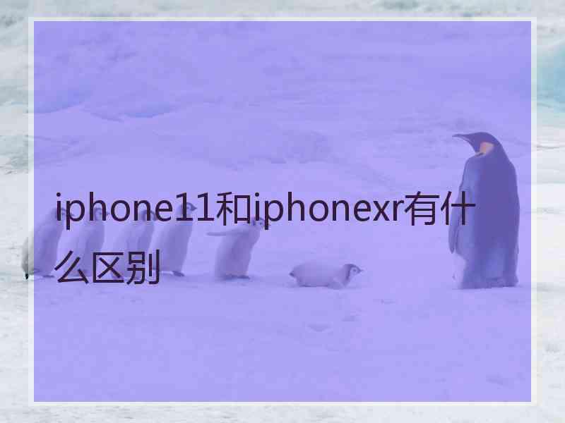 iphone11和iphonexr有什么区别