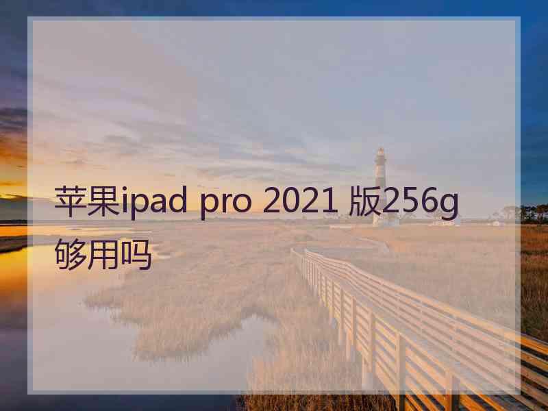 苹果ipad pro 2021 版256g够用吗