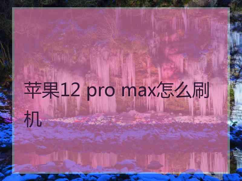 苹果12 pro max怎么刷机