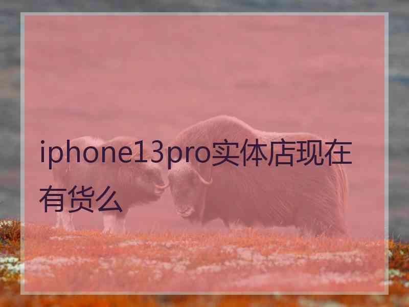 iphone13pro实体店现在有货么