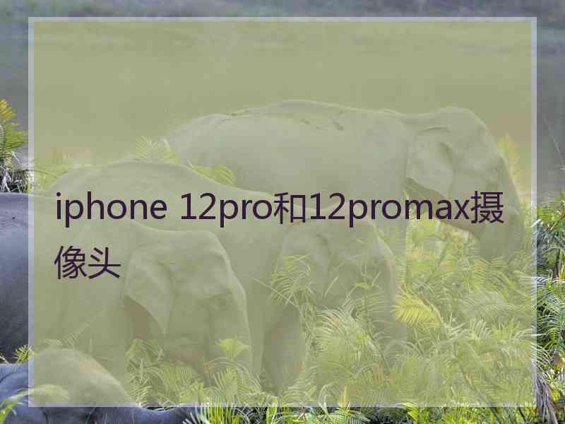 iphone 12pro和12promax摄像头