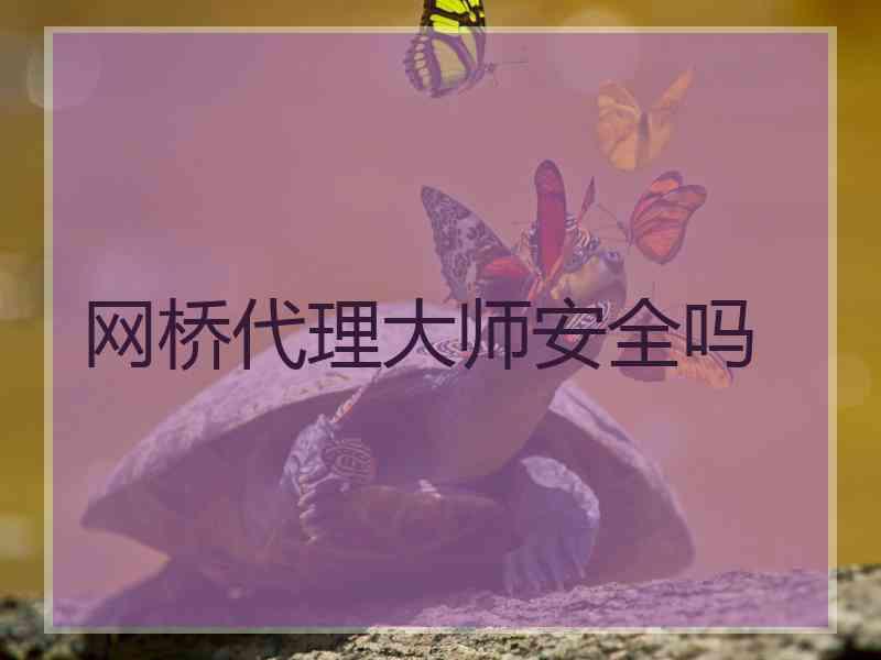 网桥代理大师安全吗