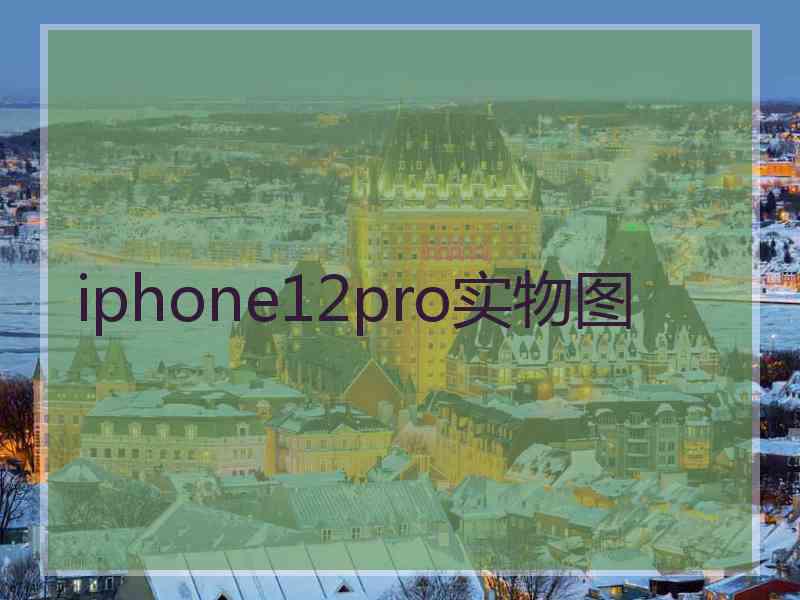 iphone12pro实物图