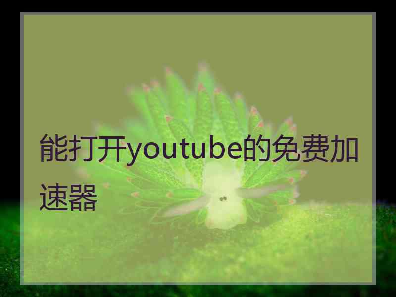 能打开youtube的免费加速器