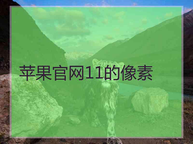 苹果官网11的像素