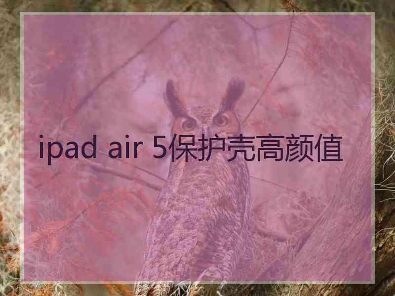 ipad air 5保护壳高颜值