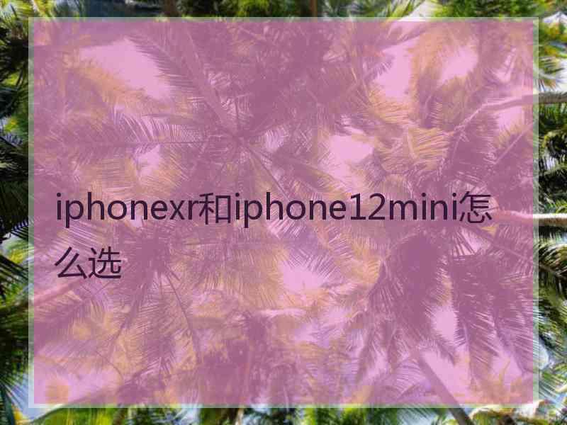 iphonexr和iphone12mini怎么选