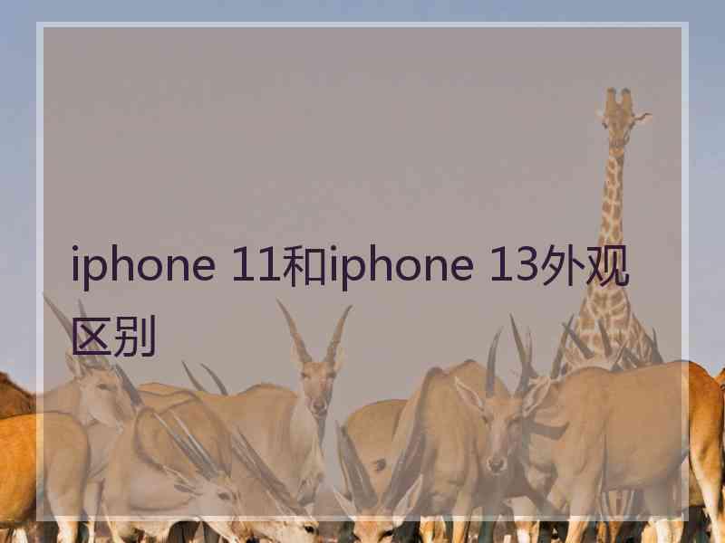 iphone 11和iphone 13外观区别