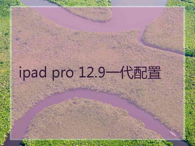 ipad pro 12.9一代配置