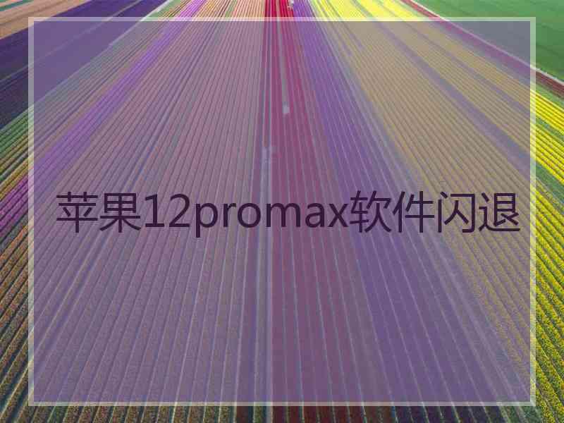 苹果12promax软件闪退