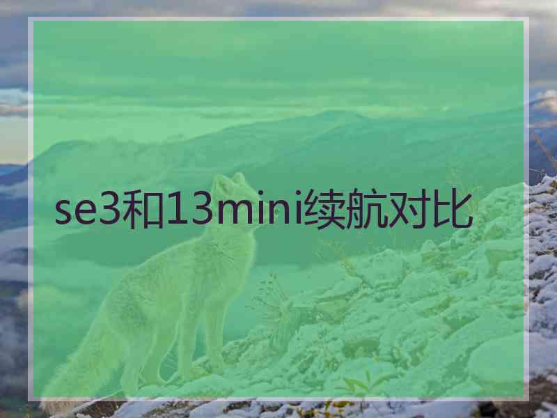 se3和13mini续航对比