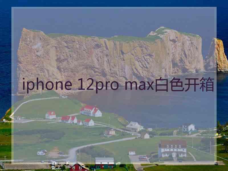 iphone 12pro max白色开箱