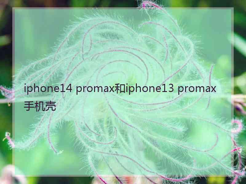 iphone14 promax和iphone13 promax手机壳