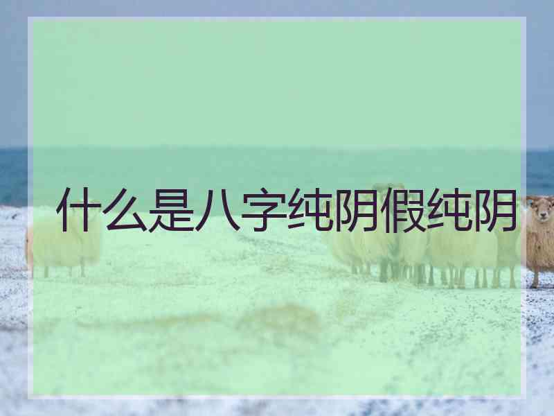 什么是八字纯阴假纯阴