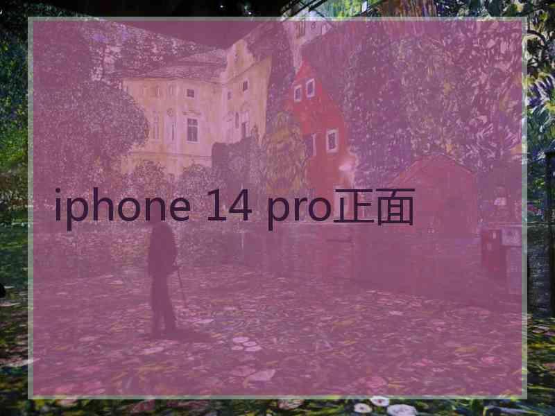 iphone 14 pro正面