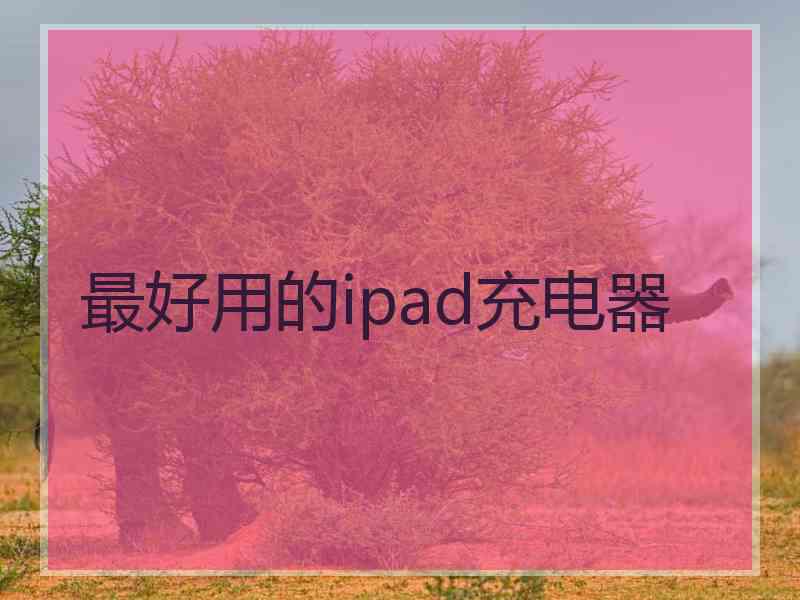 最好用的ipad充电器