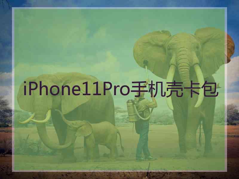 iPhone11Pro手机壳卡包