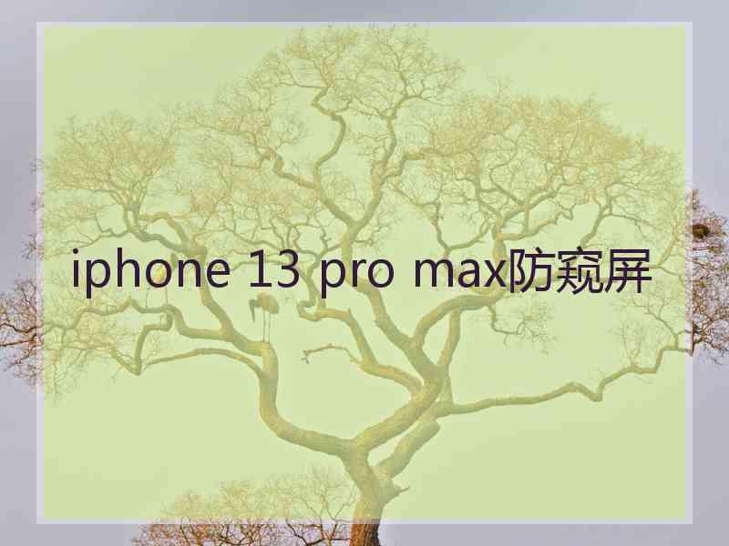 iphone 13 pro max防窥屏