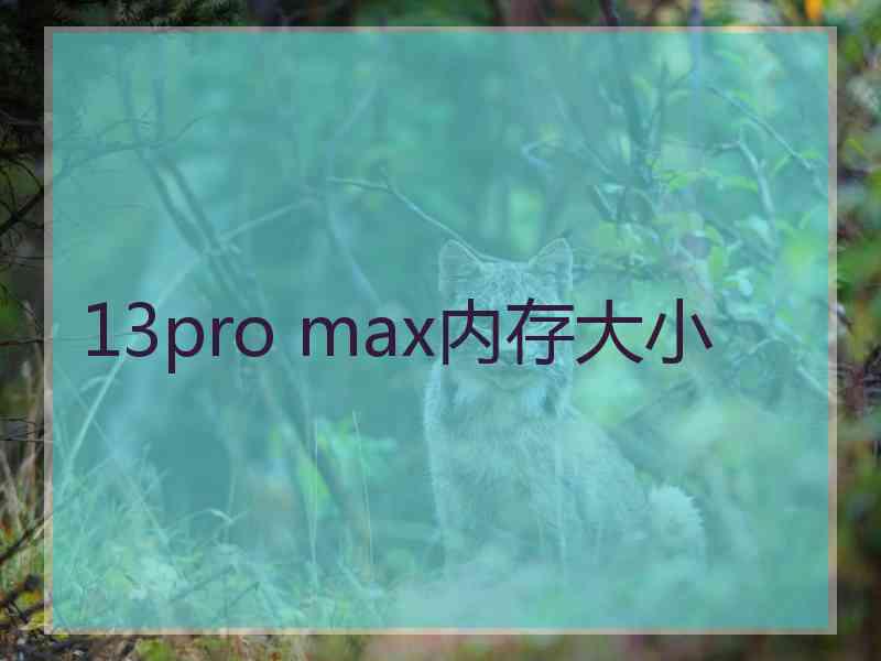 13pro max内存大小