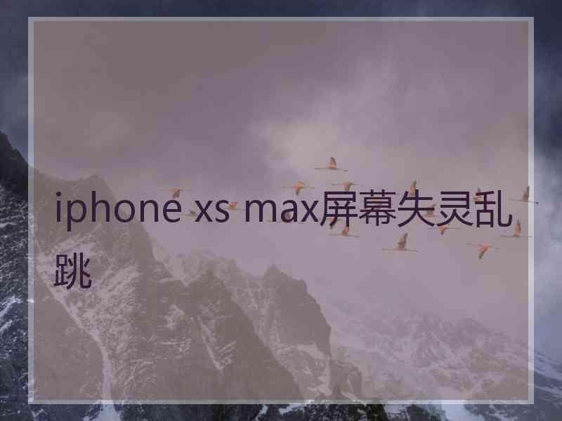 iphone xs max屏幕失灵乱跳