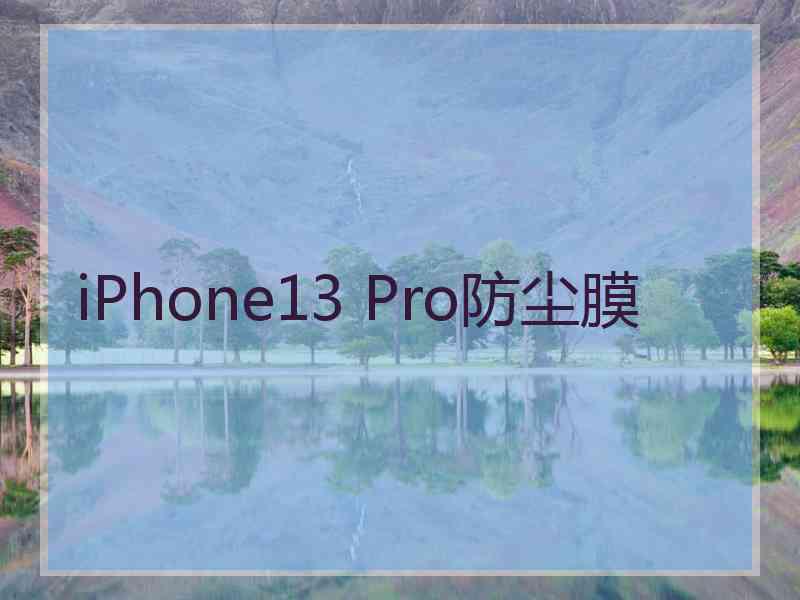 iPhone13 Pro防尘膜