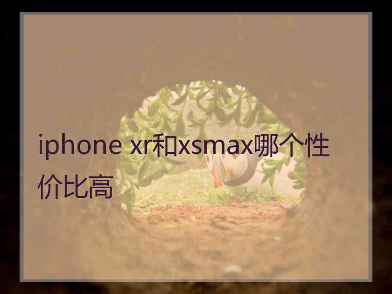 iphone xr和xsmax哪个性价比高