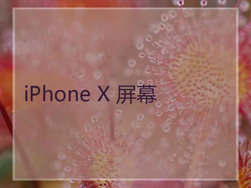 iPhone X 屏幕