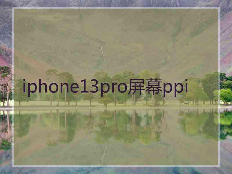 iphone13pro屏幕ppi