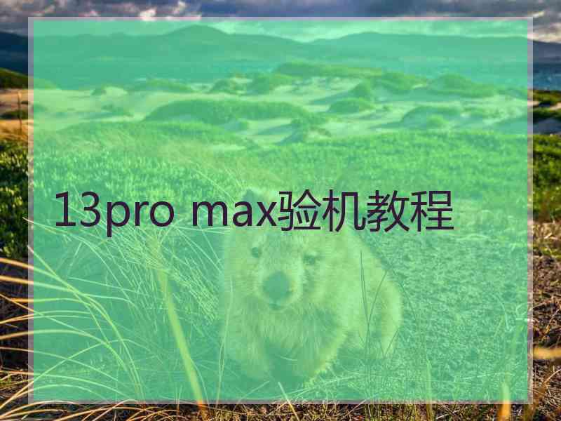 13pro max验机教程