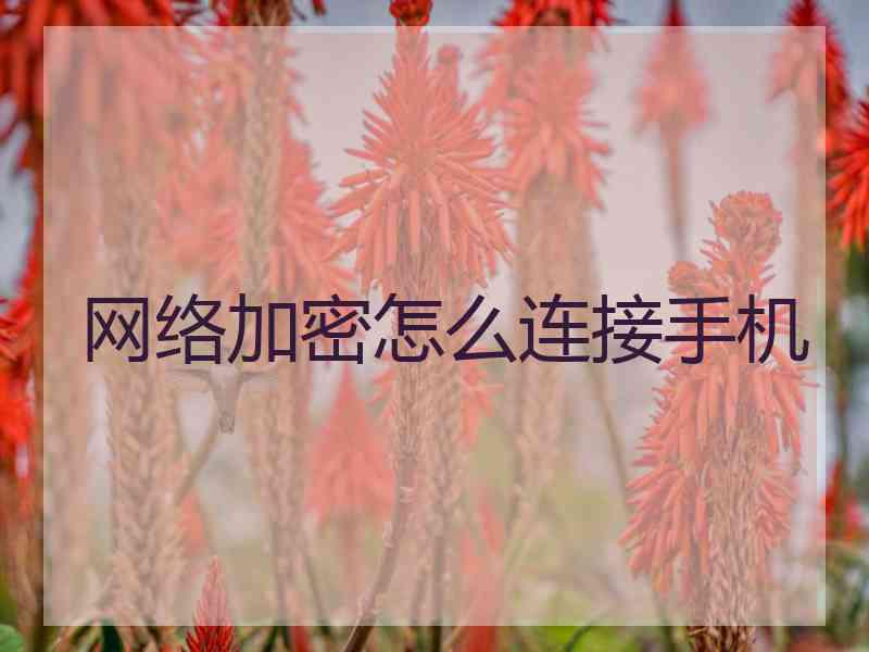 网络加密怎么连接手机