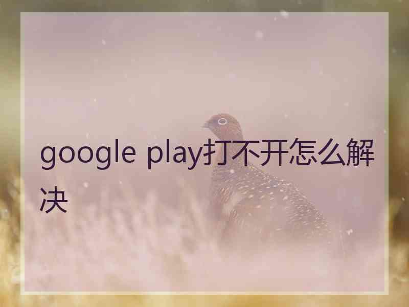 google play打不开怎么解决