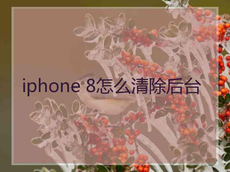 iphone 8怎么清除后台