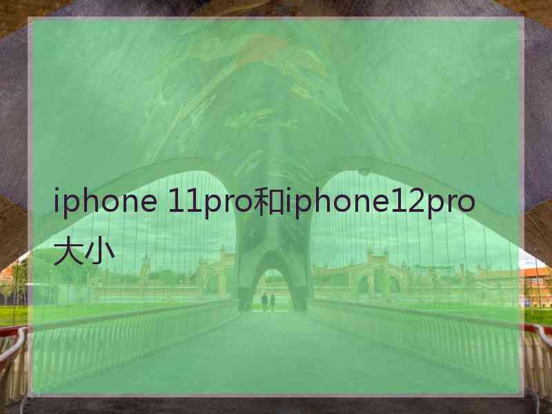 iphone 11pro和iphone12pro大小