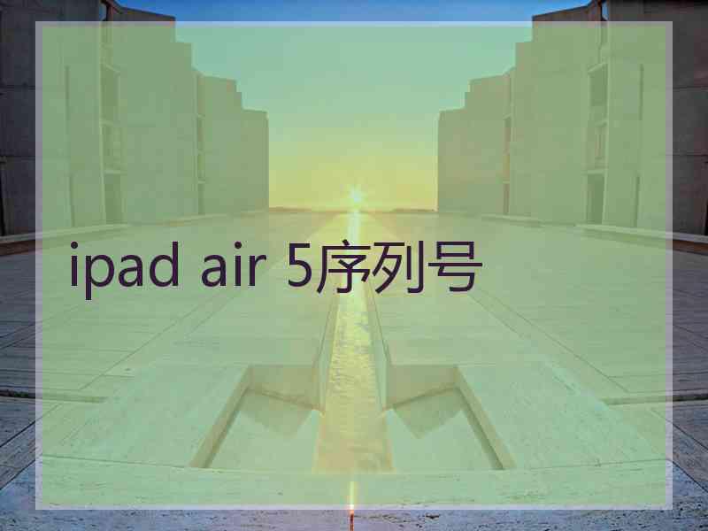 ipad air 5序列号