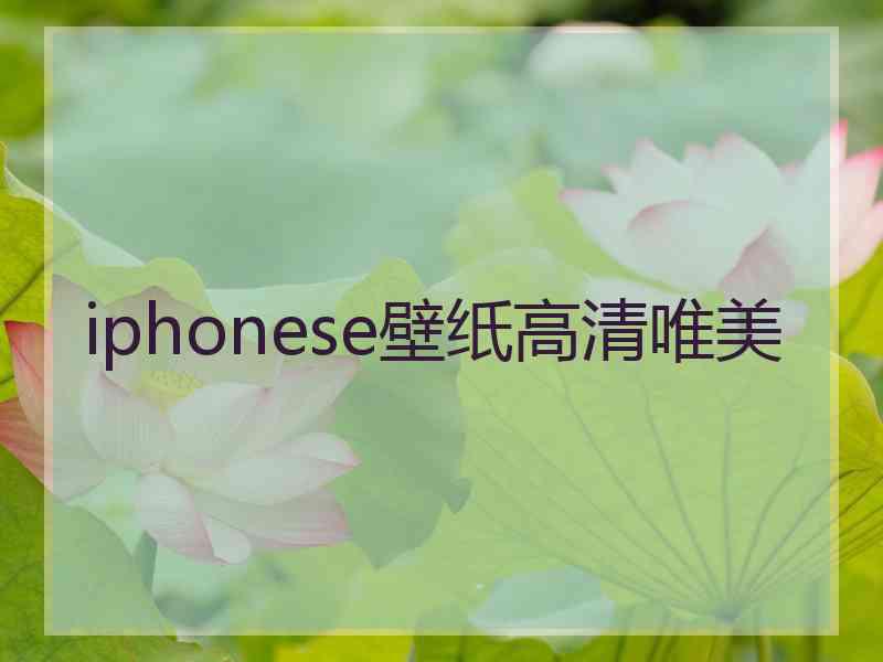 iphonese壁纸高清唯美