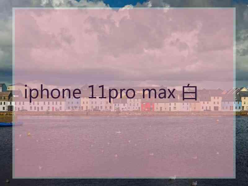 iphone 11pro max 白