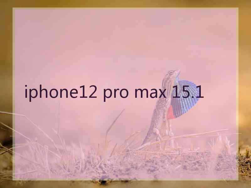 iphone12 pro max 15.1