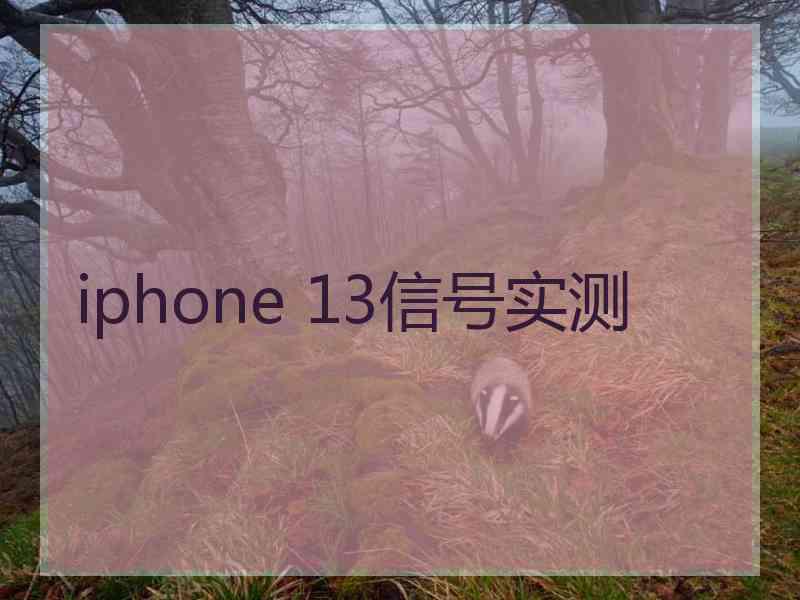 iphone 13信号实测