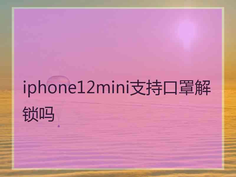 iphone12mini支持口罩解锁吗