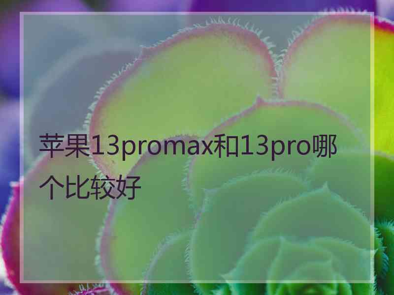 苹果13promax和13pro哪个比较好