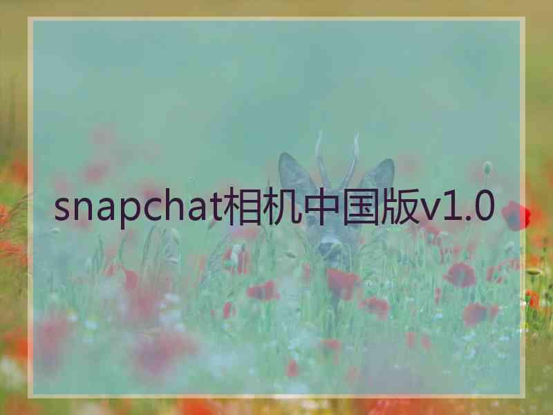 snapchat相机中国版v1.0